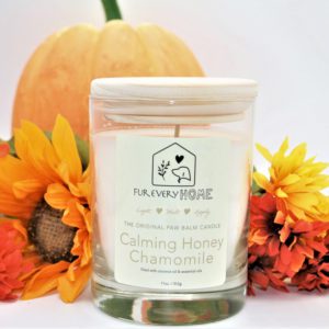 Fur Every Home Candle